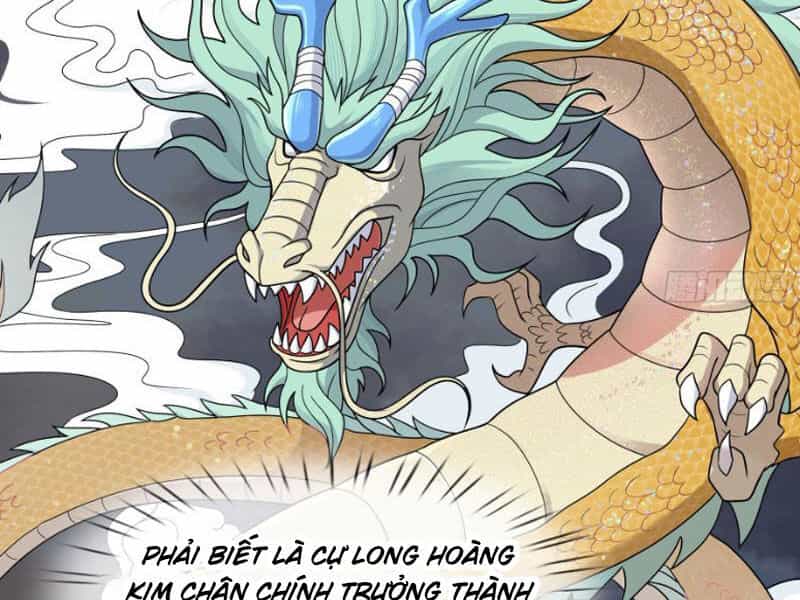 Thu Triệu Vạn Đồ Đệ, Vi Sư Vô Địch Thế Gian - Chương 49 - ảnh 28