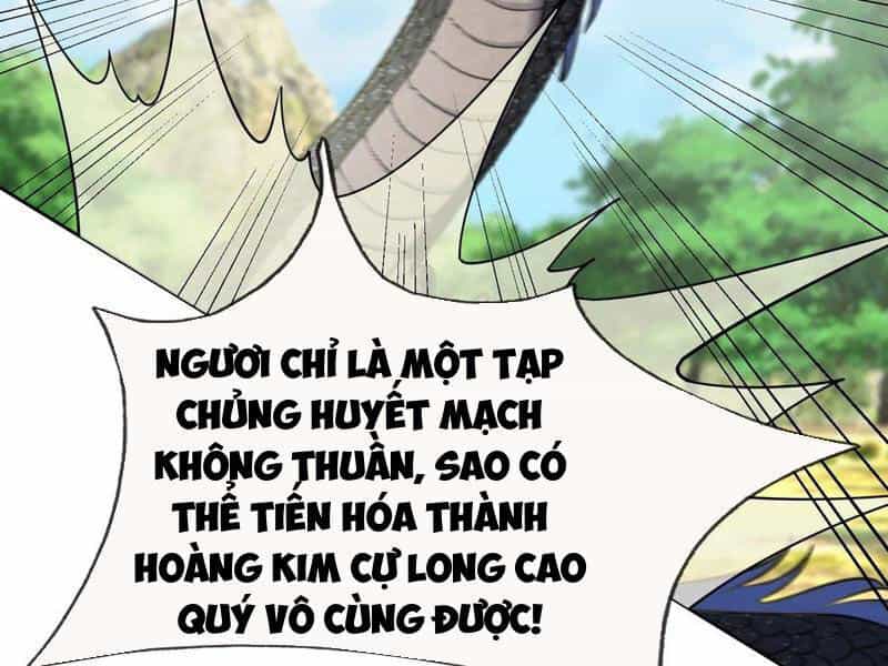 Thu Triệu Vạn Đồ Đệ, Vi Sư Vô Địch Thế Gian - Chương 94 - ảnh 26