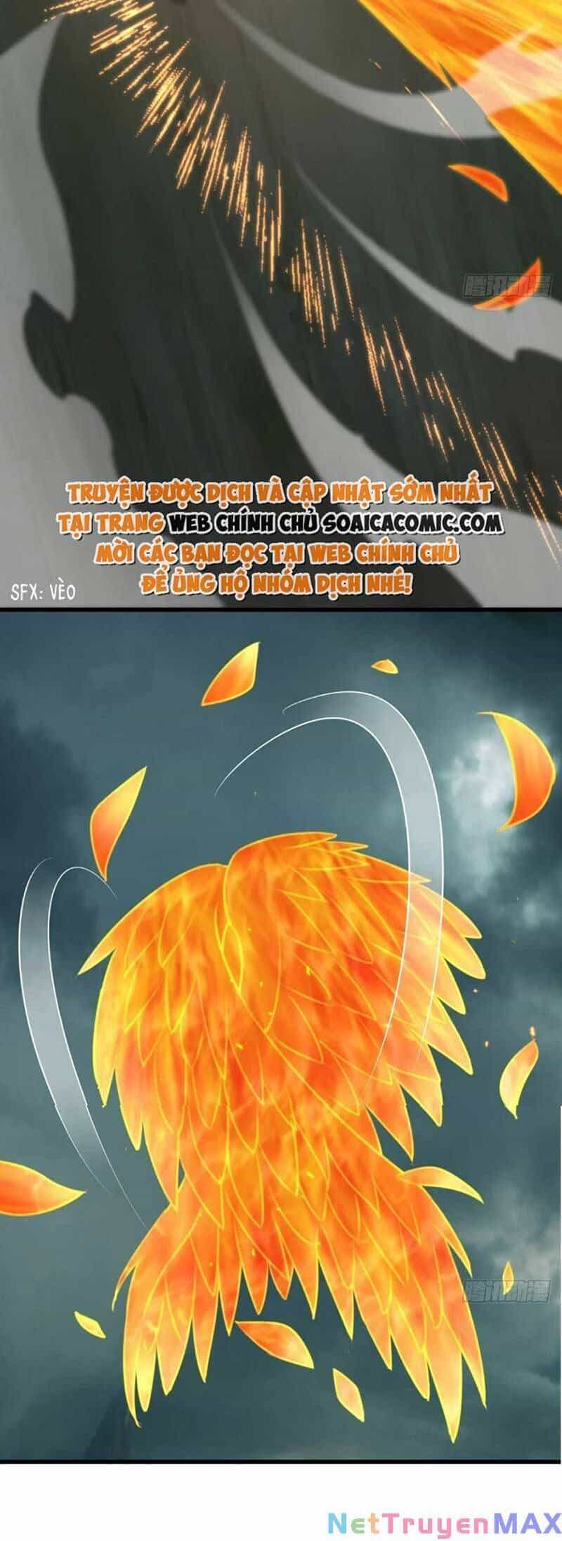 Thuần Hóa Ba Ba Bạo Quân - Chương 104 - ảnh 24