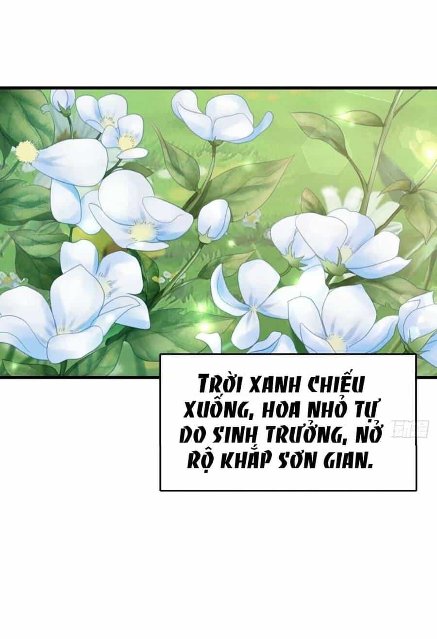 Thuần Hóa Ba Ba Bạo Quân - Chương 7 - ảnh 7