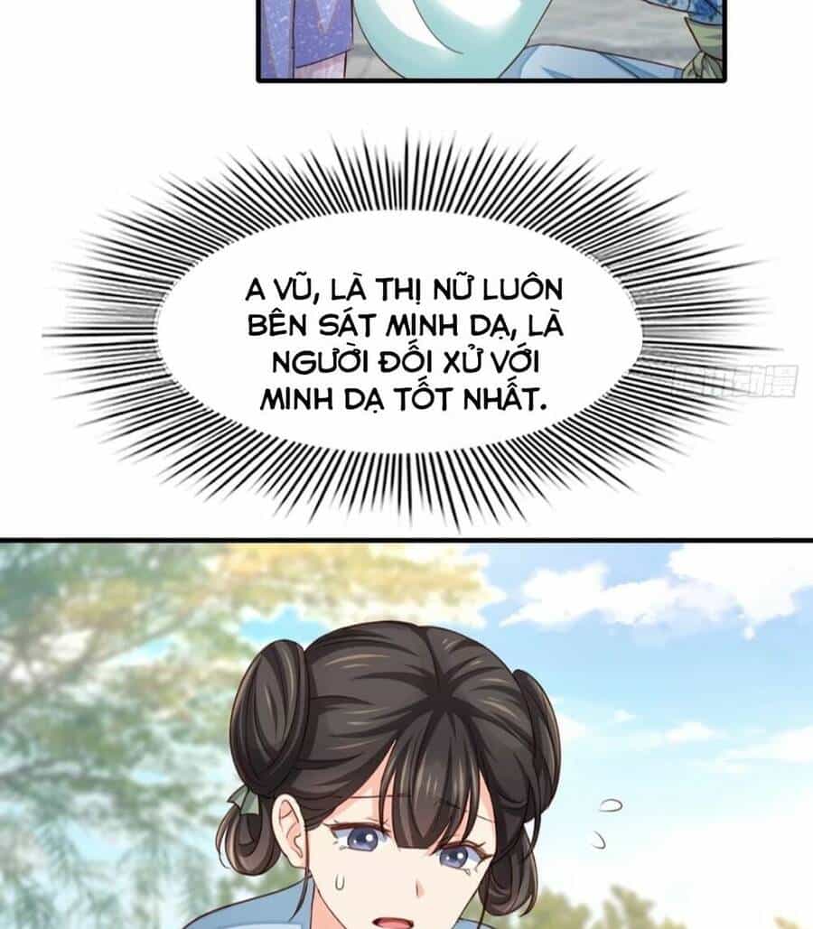 Thuần Hóa Ba Ba Bạo Quân - Chương 2 - ảnh 11