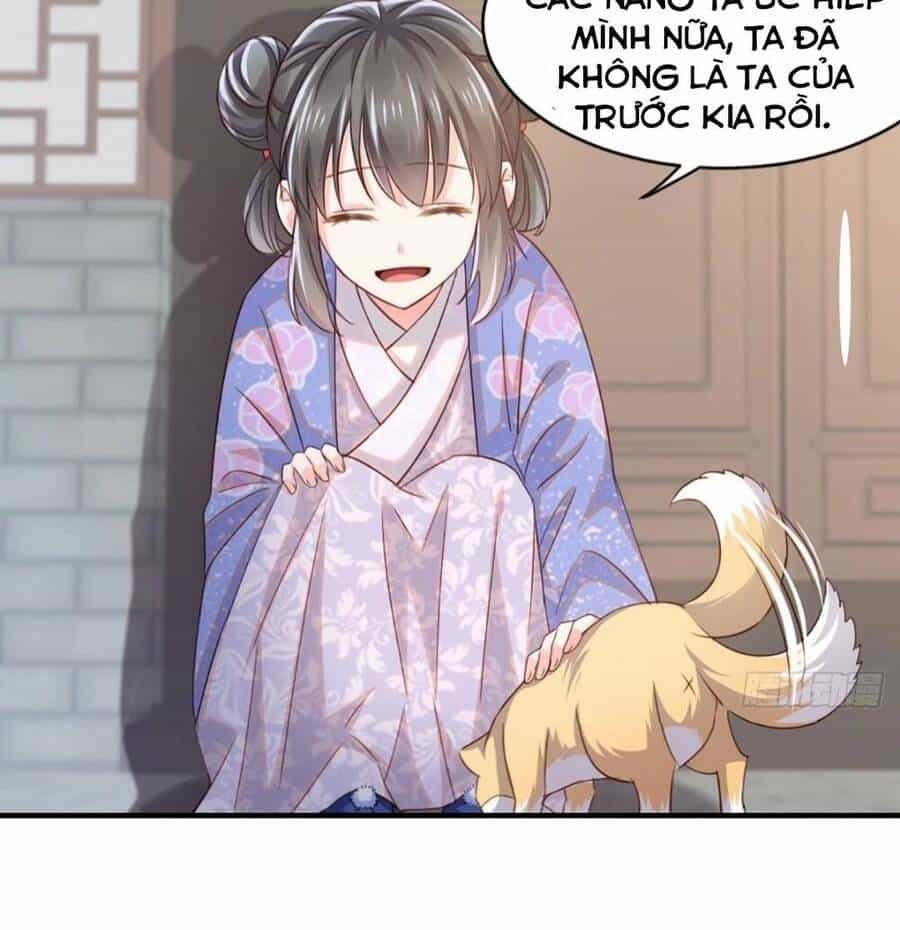 Thuần Hóa Ba Ba Bạo Quân - Chương 2 - ảnh 8