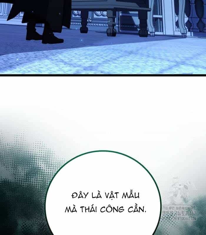 Thực Long Ma Pháp Sư - Chương 76 - ảnh 178