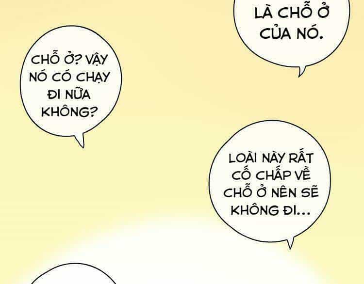 Thực Luyến Kỳ Duyên - Chương 33 - ảnh 18