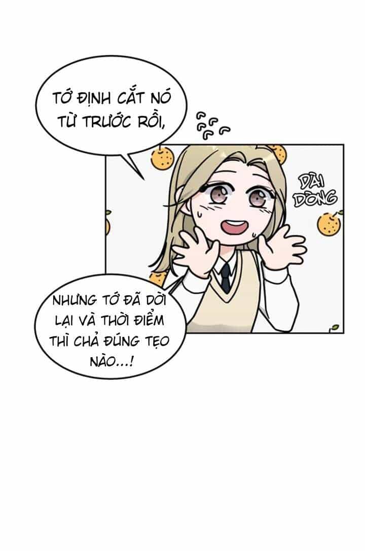 Thùng Quần Áo Tình Yêu - Chương 13 - ảnh 37