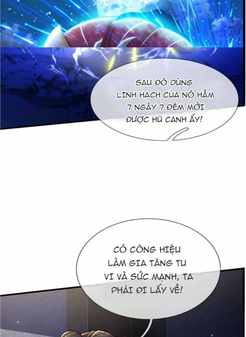 Thuộc Tính Của Ta Đều Thêm Sức Mạnh - Chương 17 - ảnh 24
