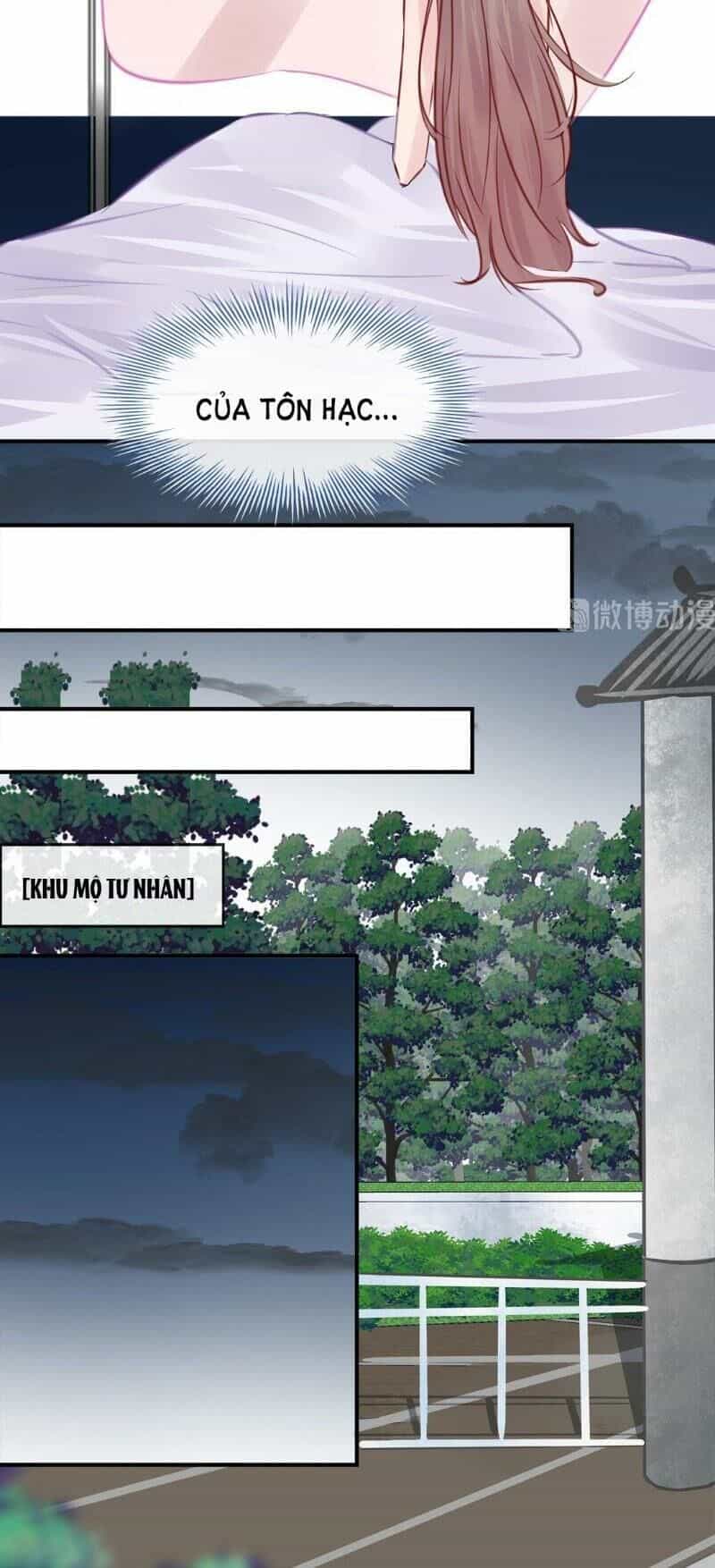 Thương Tiên Sinh Mã Giáp Của Anh Lại Rơi Rồi - Chương 5 - ảnh 8