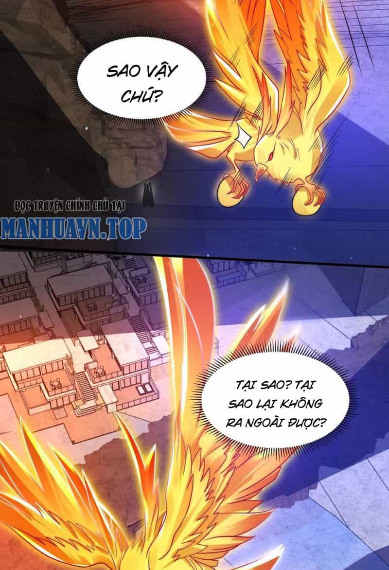 Tích Trữ 10 Vạn Vật Tư Trước Ngày Tận Thế - Chương 157 - ảnh 2