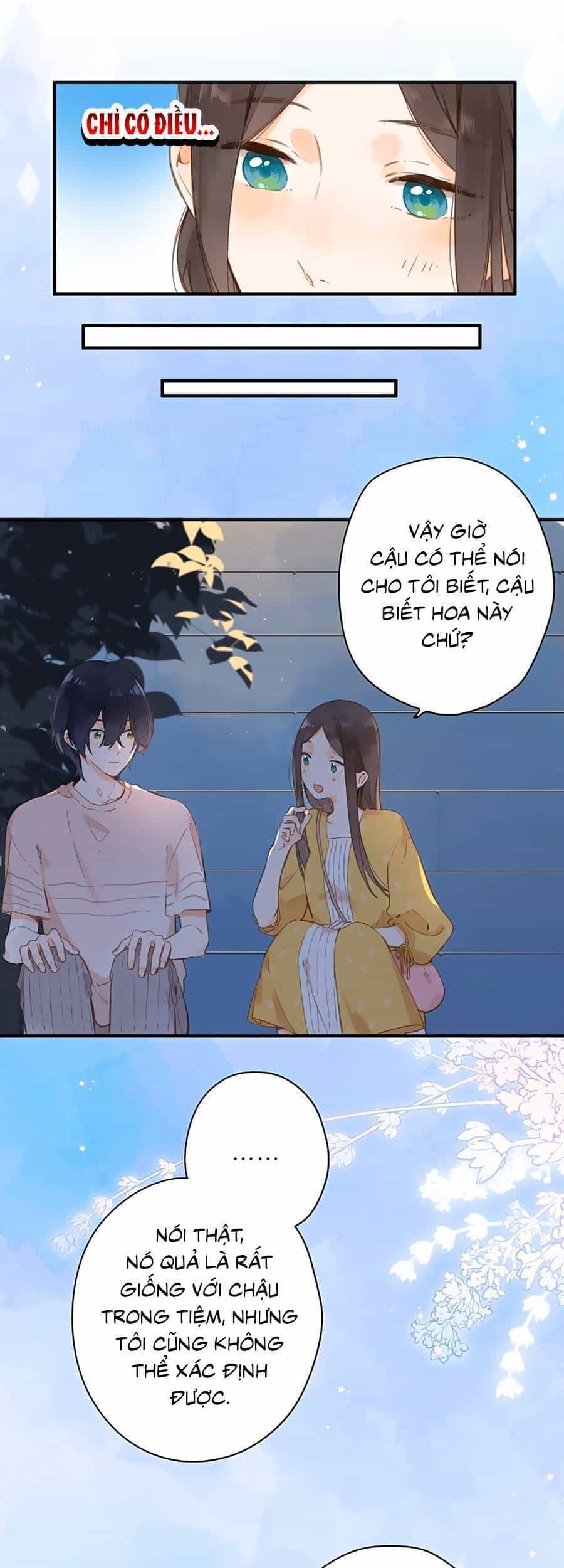 Tiệm Hoa Hướng Dương Góc Phố - Chương 13 - ảnh 5