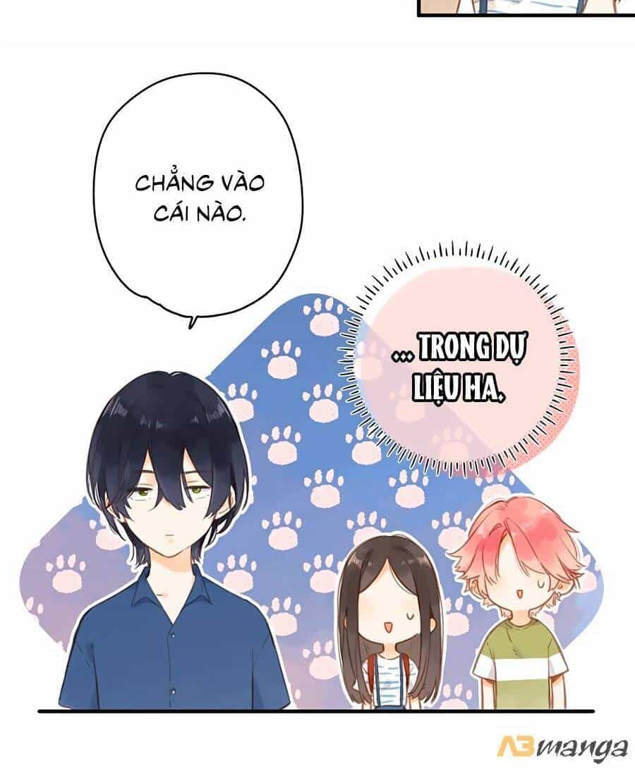 Tiệm Hoa Hướng Dương Góc Phố - Chương 14 - ảnh 23