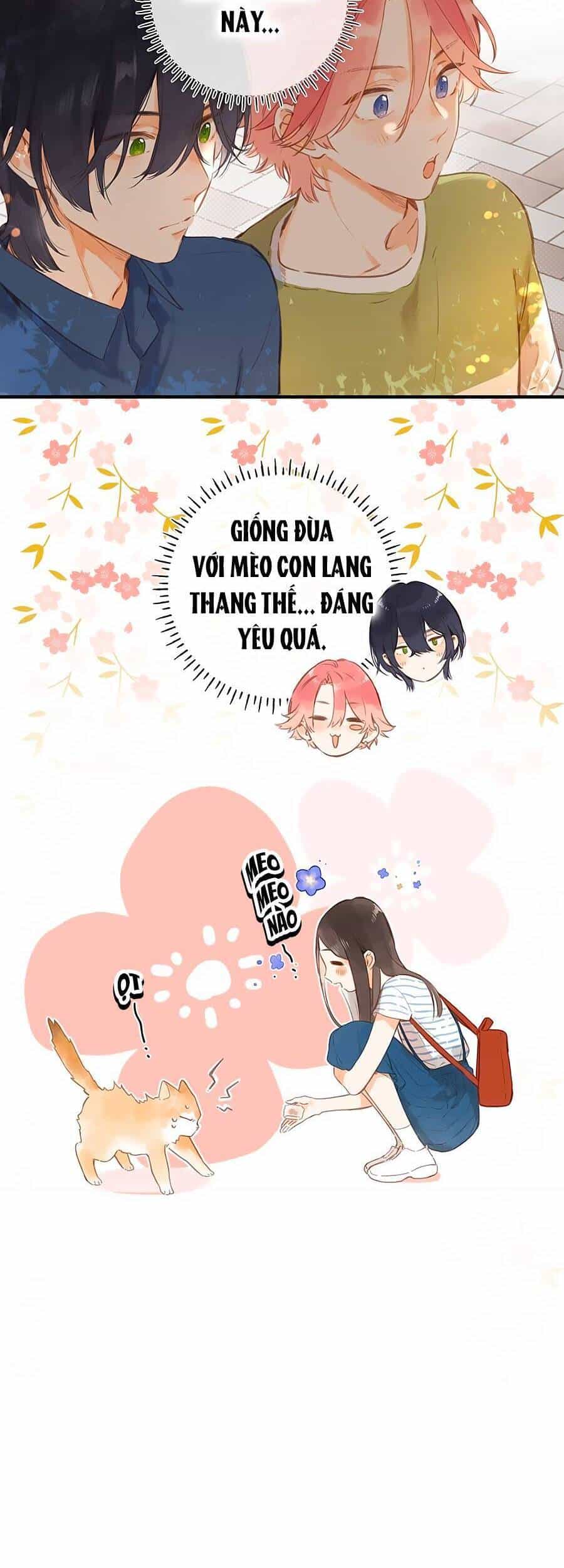 Tiệm Hoa Hướng Dương Góc Phố - Chương 15 - ảnh 17