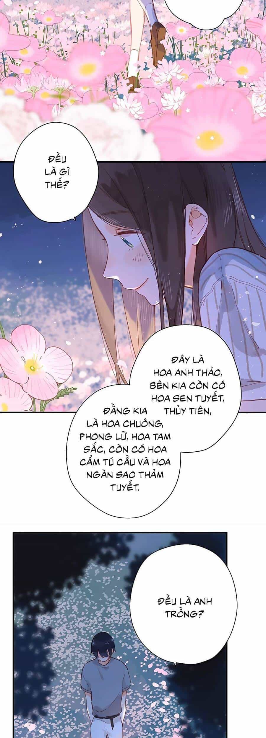 Tiệm Hoa Hướng Dương Góc Phố - Chương 20 - ảnh 10