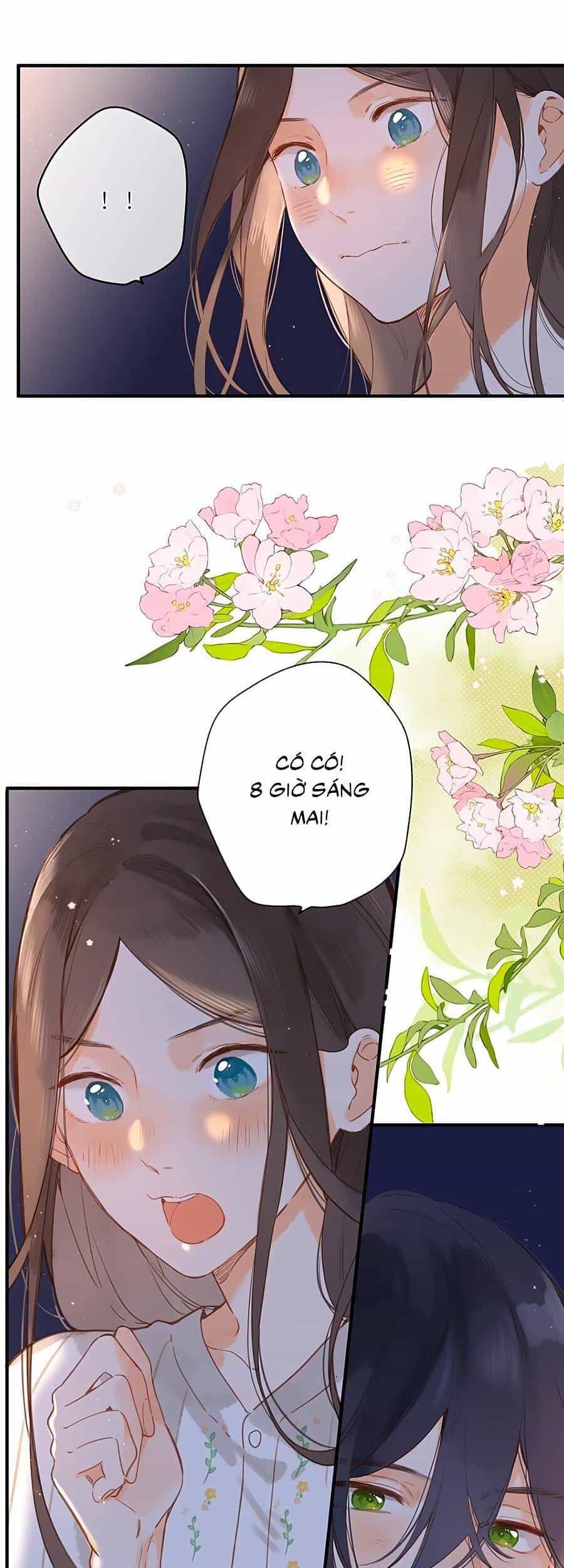 Tiệm Hoa Hướng Dương Góc Phố - Chương 21 - ảnh 8