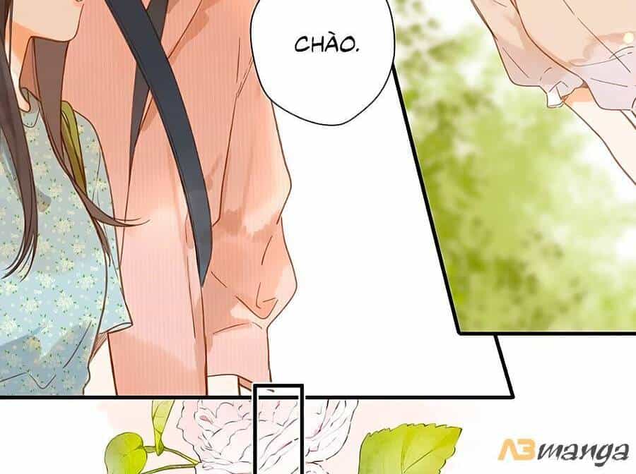 Tiệm Hoa Hướng Dương Góc Phố - Chương 25 - ảnh 23