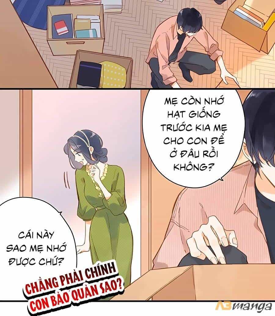 Tiệm Hoa Hướng Dương Góc Phố - Chương 25 - ảnh 4