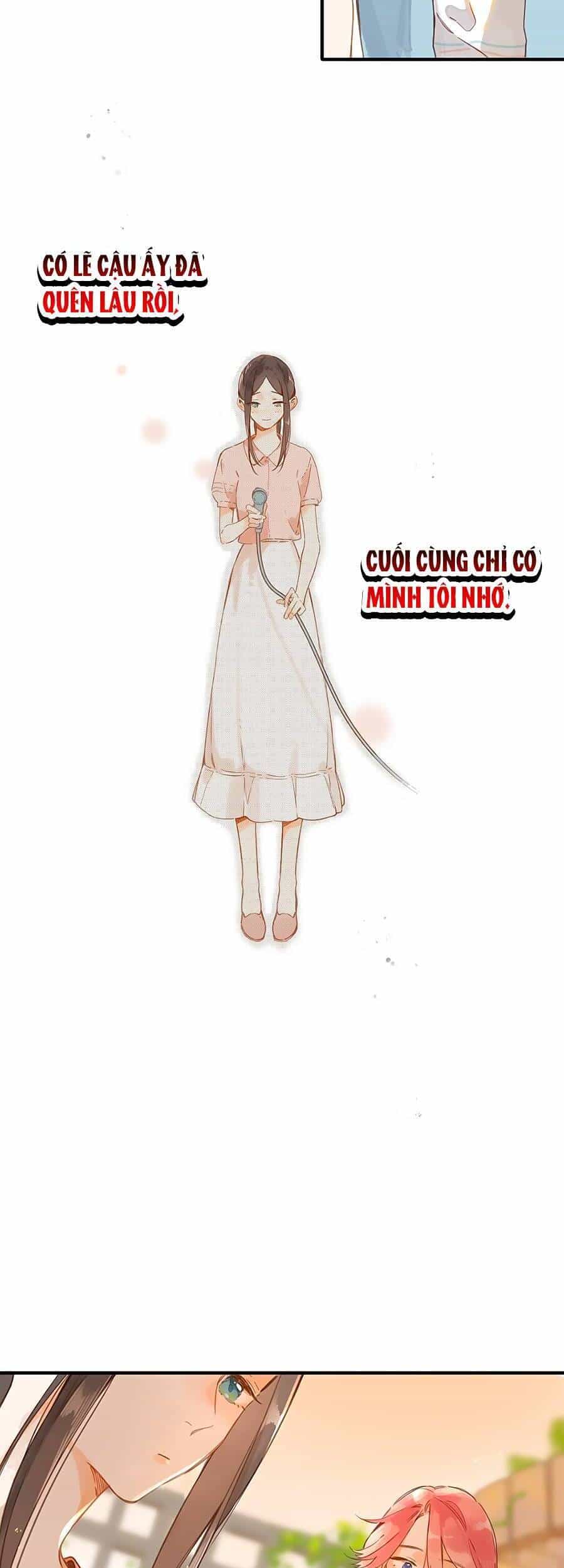 Tiệm Hoa Hướng Dương Góc Phố - Chương 30 - ảnh 20