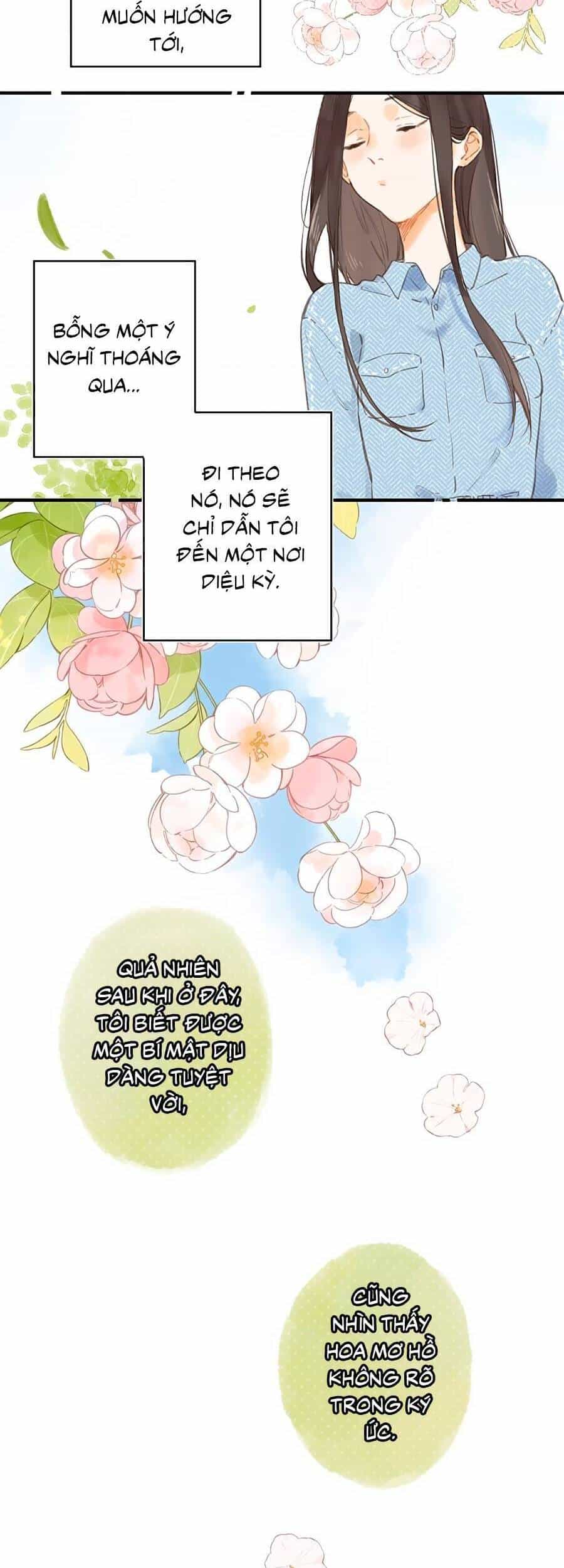 Tiệm Hoa Hướng Dương Góc Phố - Chương 37 - ảnh 21