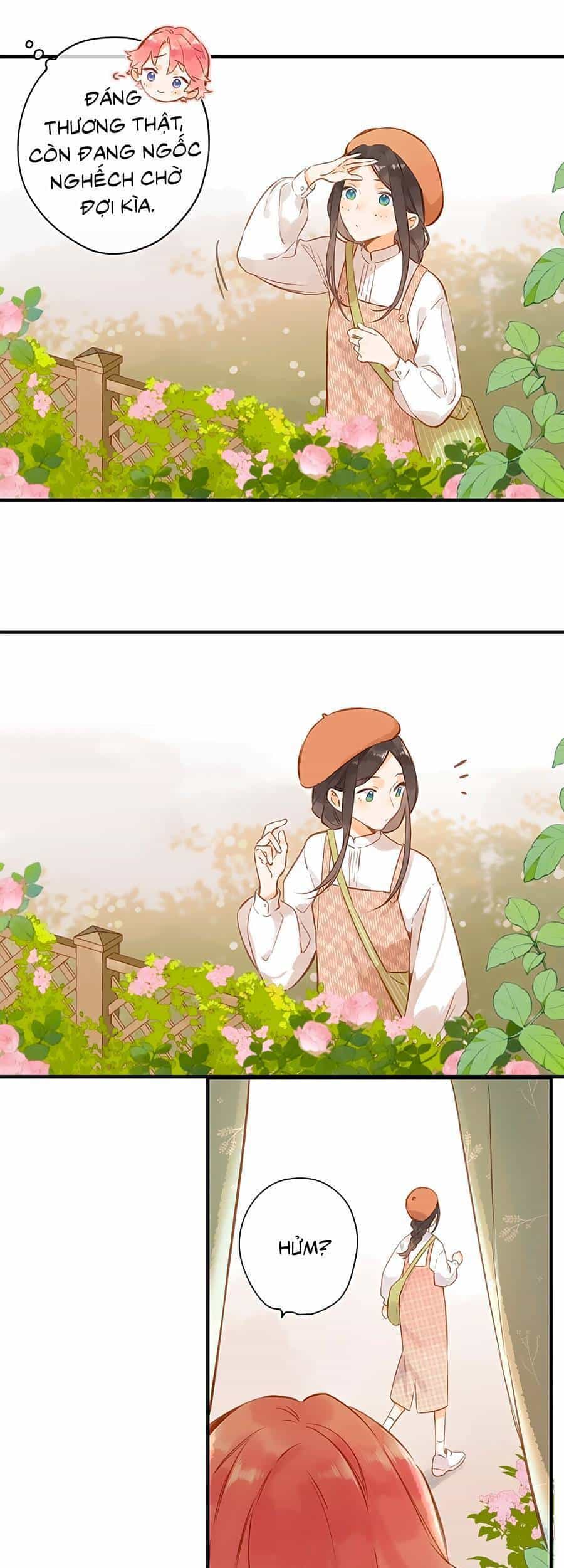 Tiệm Hoa Hướng Dương Góc Phố - Chương 39 - ảnh 5