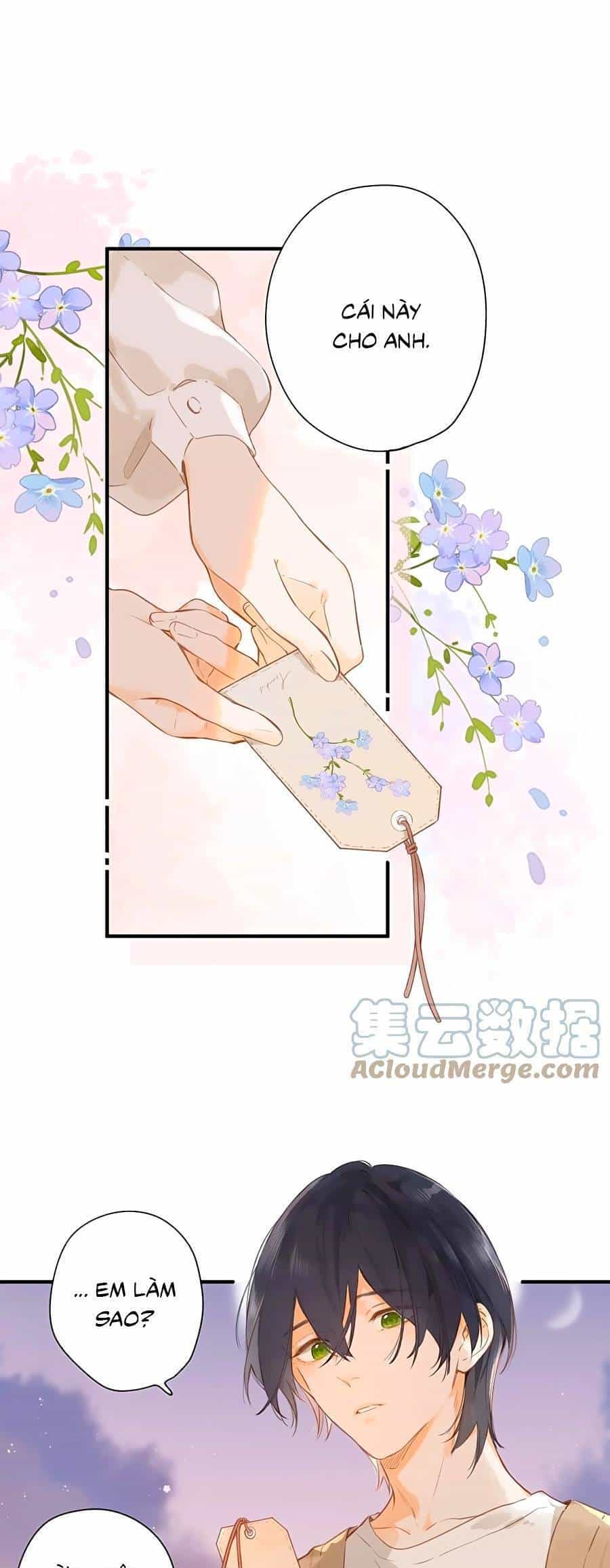 Tiệm Hoa Hướng Dương Góc Phố - Chương 47 - ảnh 13