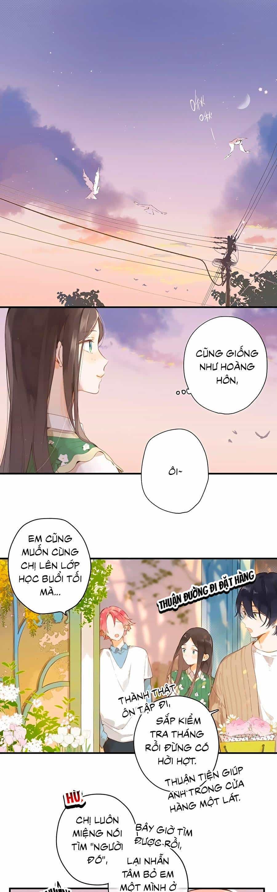 Tiệm Hoa Hướng Dương Góc Phố - Chương 47 - ảnh 2