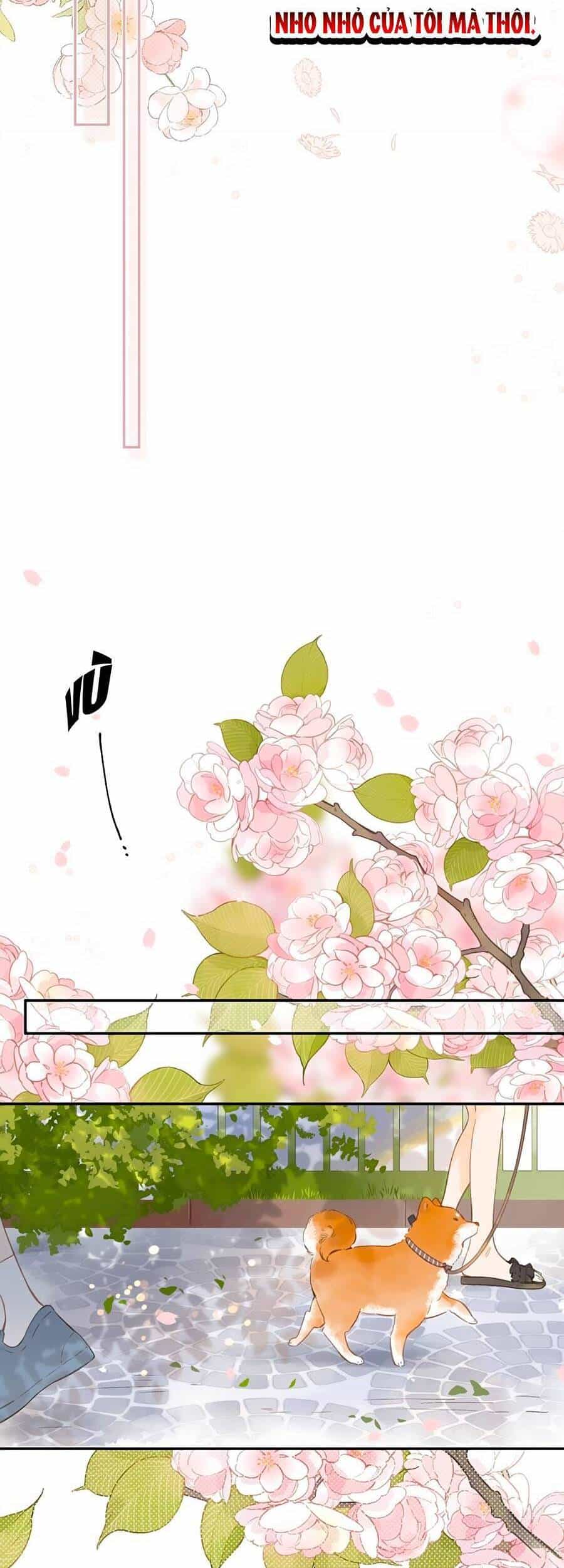 Tiệm Hoa Hướng Dương Góc Phố - Chương 5 - ảnh 42