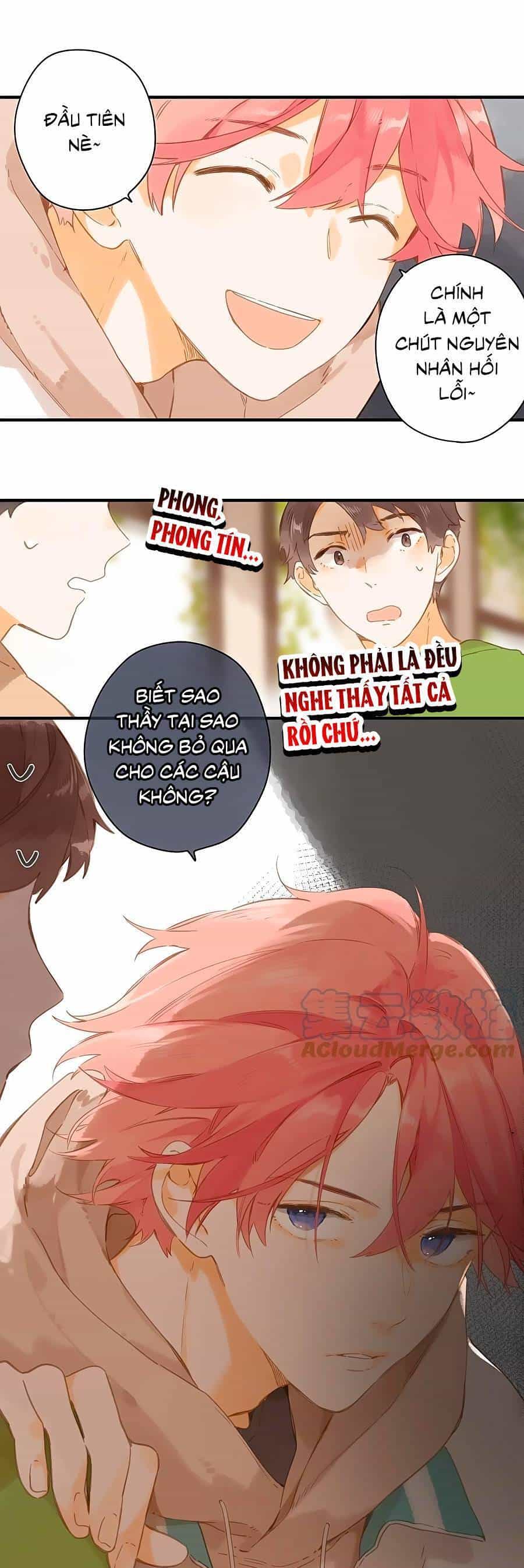Tiệm Hoa Hướng Dương Góc Phố - Chương 49 - ảnh 11