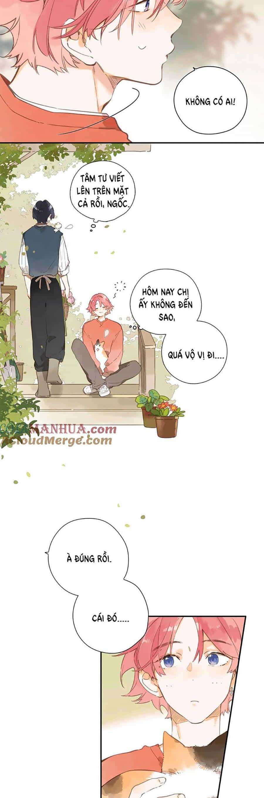 Tiệm Hoa Hướng Dương Góc Phố - Chương 76 - ảnh 7