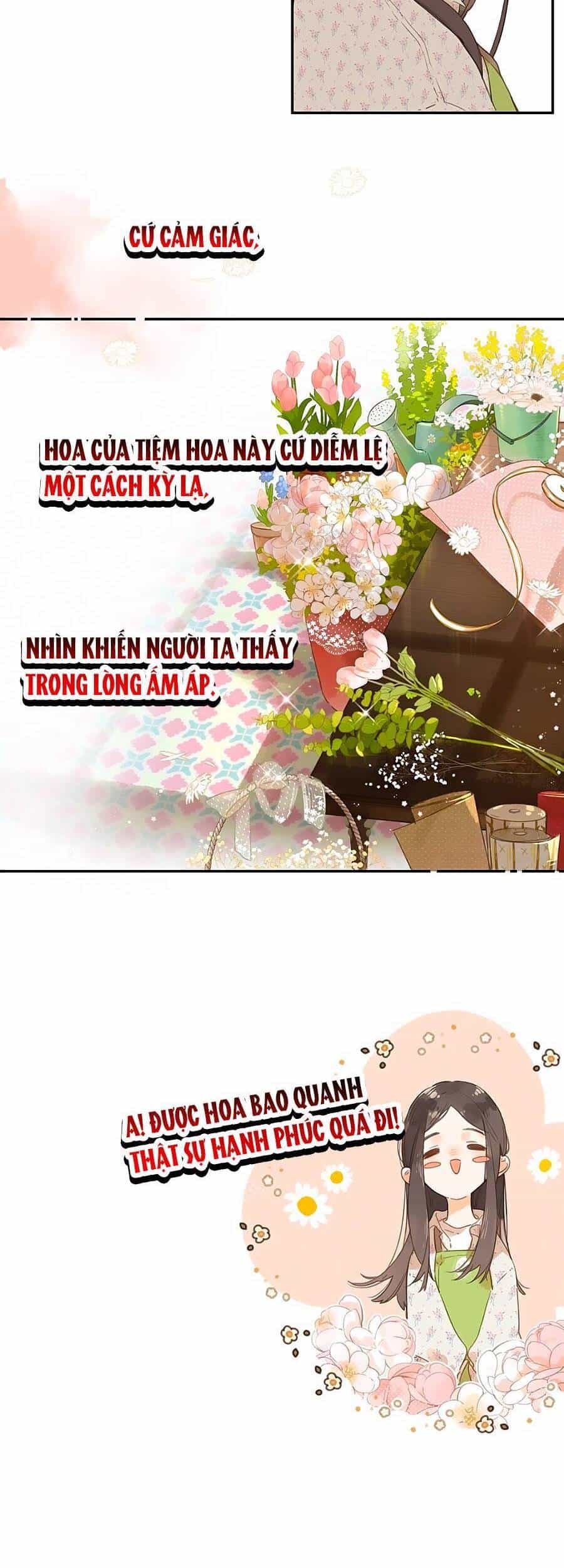 Tiệm Hoa Hướng Dương Góc Phố - Chương 8 - ảnh 14
