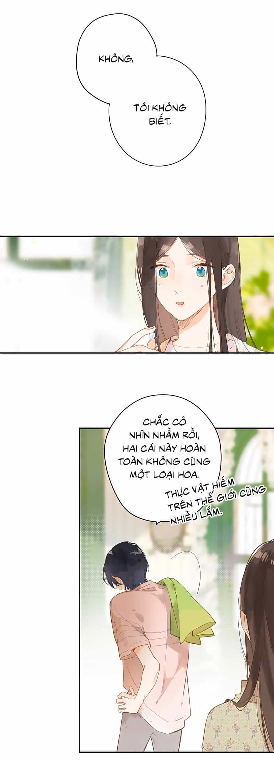 Tiệm Hoa Hướng Dương Góc Phố - Chương 8 - ảnh 23
