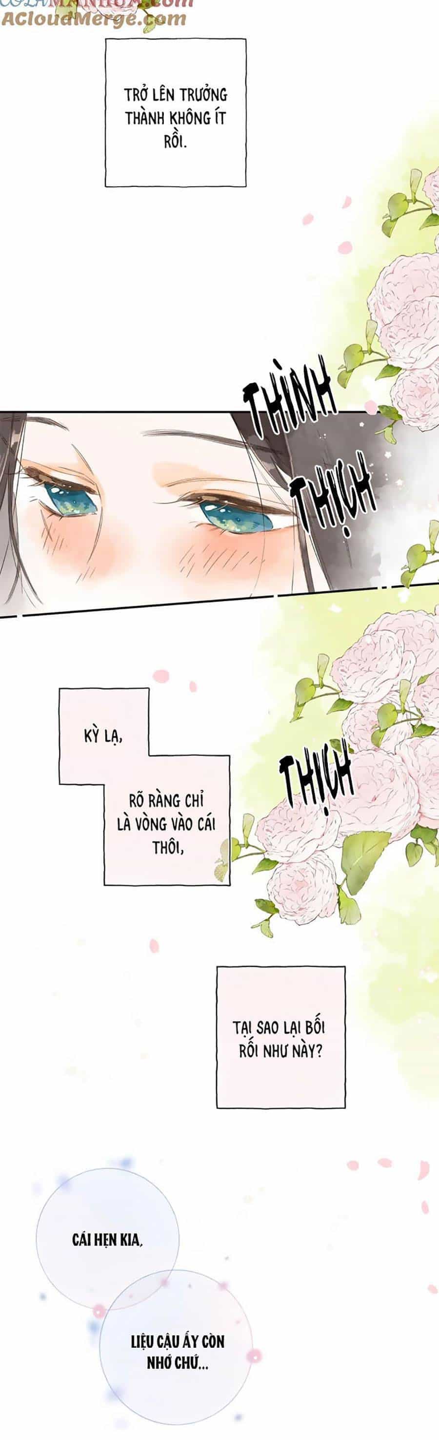 Tiệm Hoa Hướng Dương Góc Phố - Chương 79 - ảnh 23