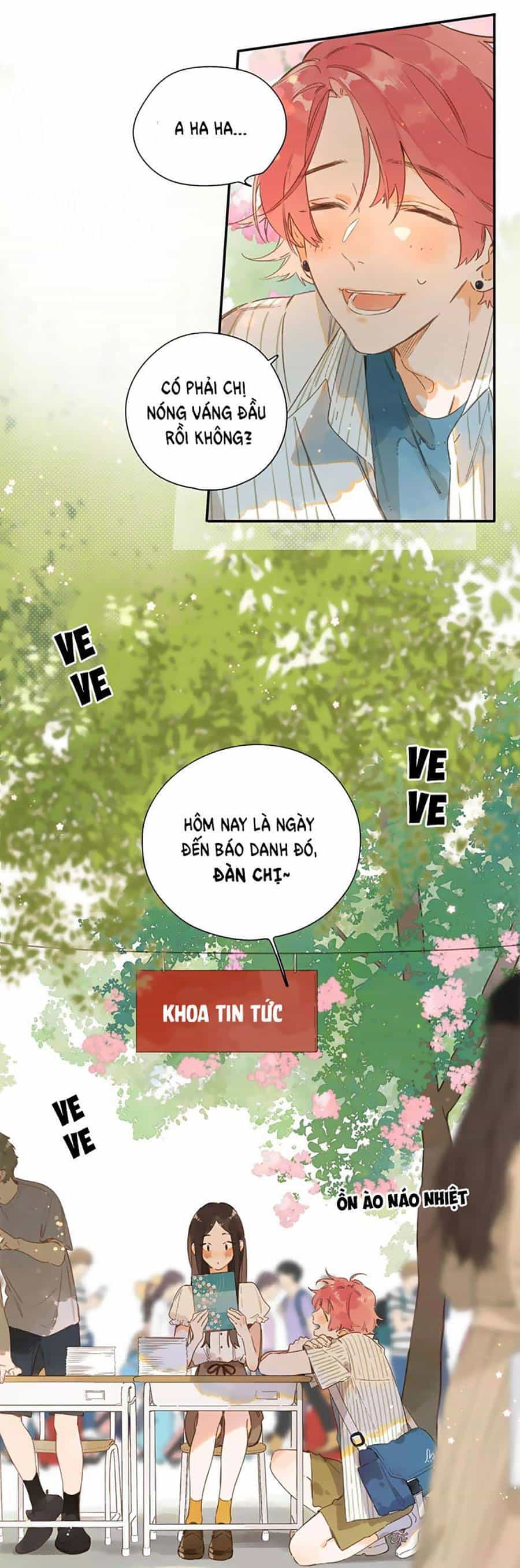 Tiệm Hoa Hướng Dương Góc Phố - Chương 79 - ảnh 6
