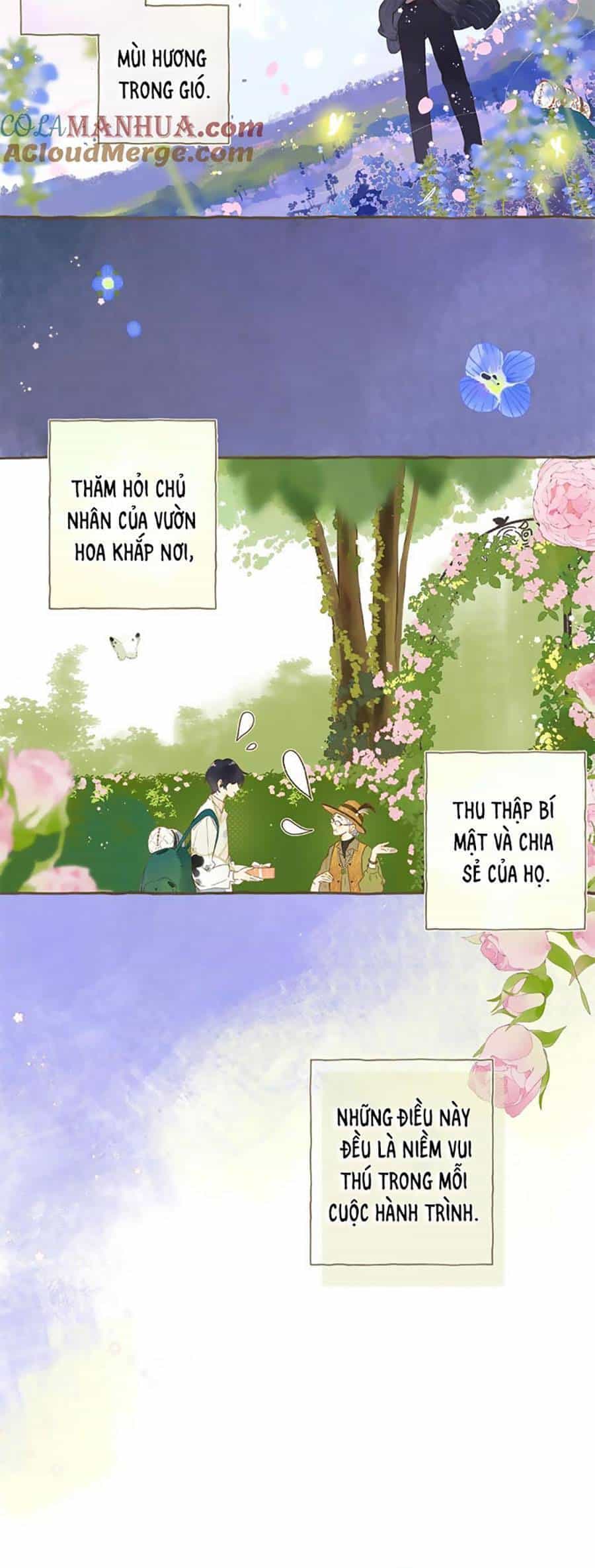 Tiệm Hoa Hướng Dương Góc Phố - Chương 80 - ảnh 14