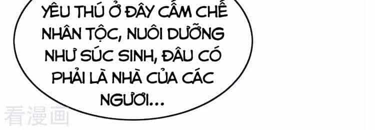 Tiên Đế Trở Về - Chương 239 - ảnh 18