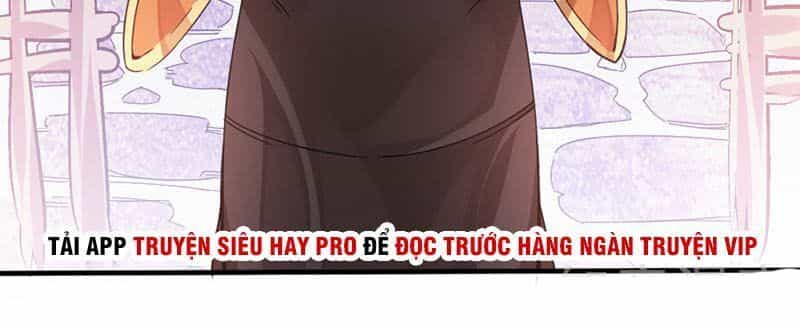 Tiên Đế Trở Về - Chương 31 - ảnh 21