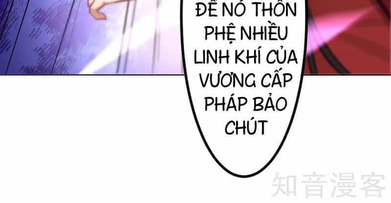 Tiên Đế Trở Về - Chương 38 - ảnh 4