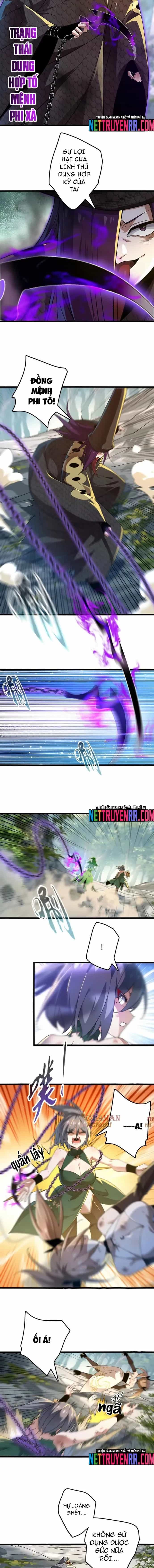 Tiến Hóa Đi, Caterpie - Chương 112 - ảnh 3