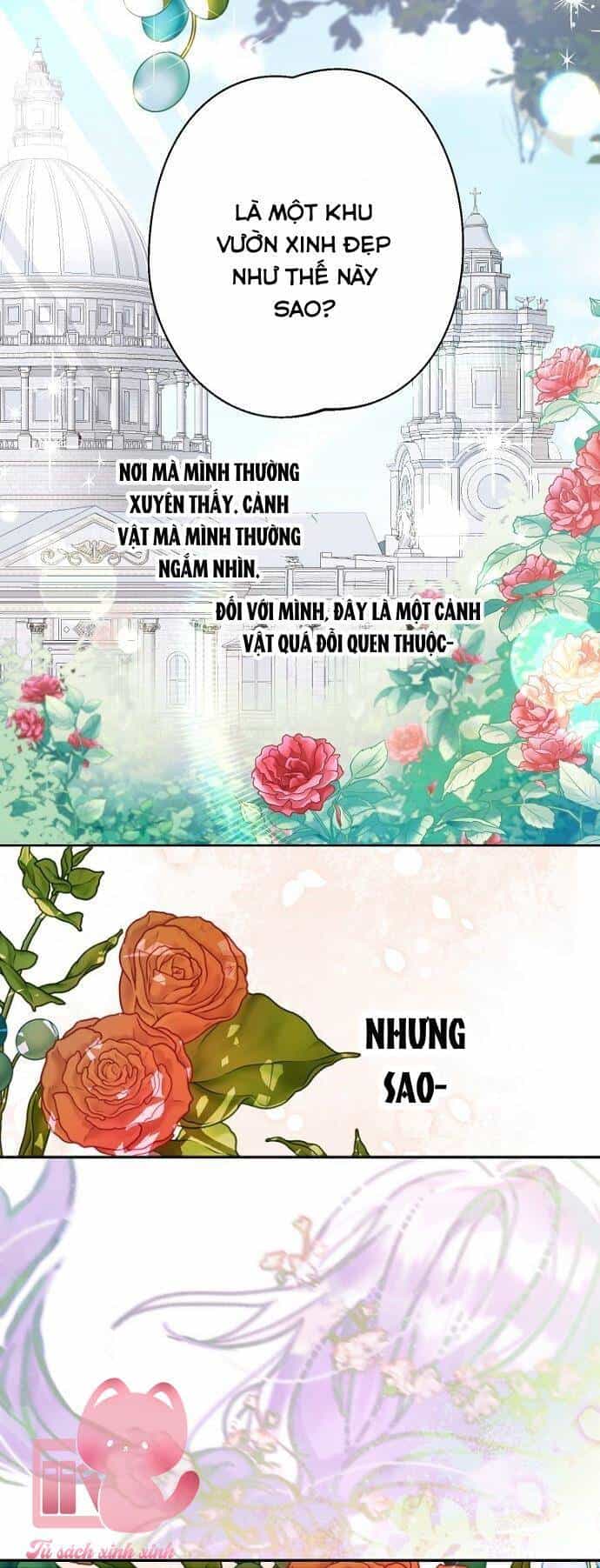 Tiền Là Tất Cả Chồng Là Phù Du - Chương 102 - ảnh 56