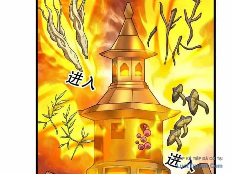 Tiên Làm Nô Thần Là Bộc, Đại Đế Làm Chó Giữ Nhà - Chương 79 - ảnh 30