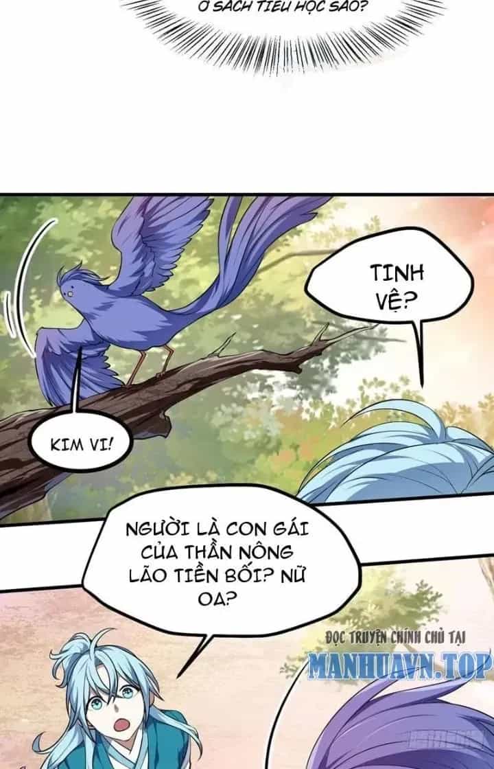 Tiên Nhân Này Quá Nghiêm Túc - Chương 71 - ảnh 22