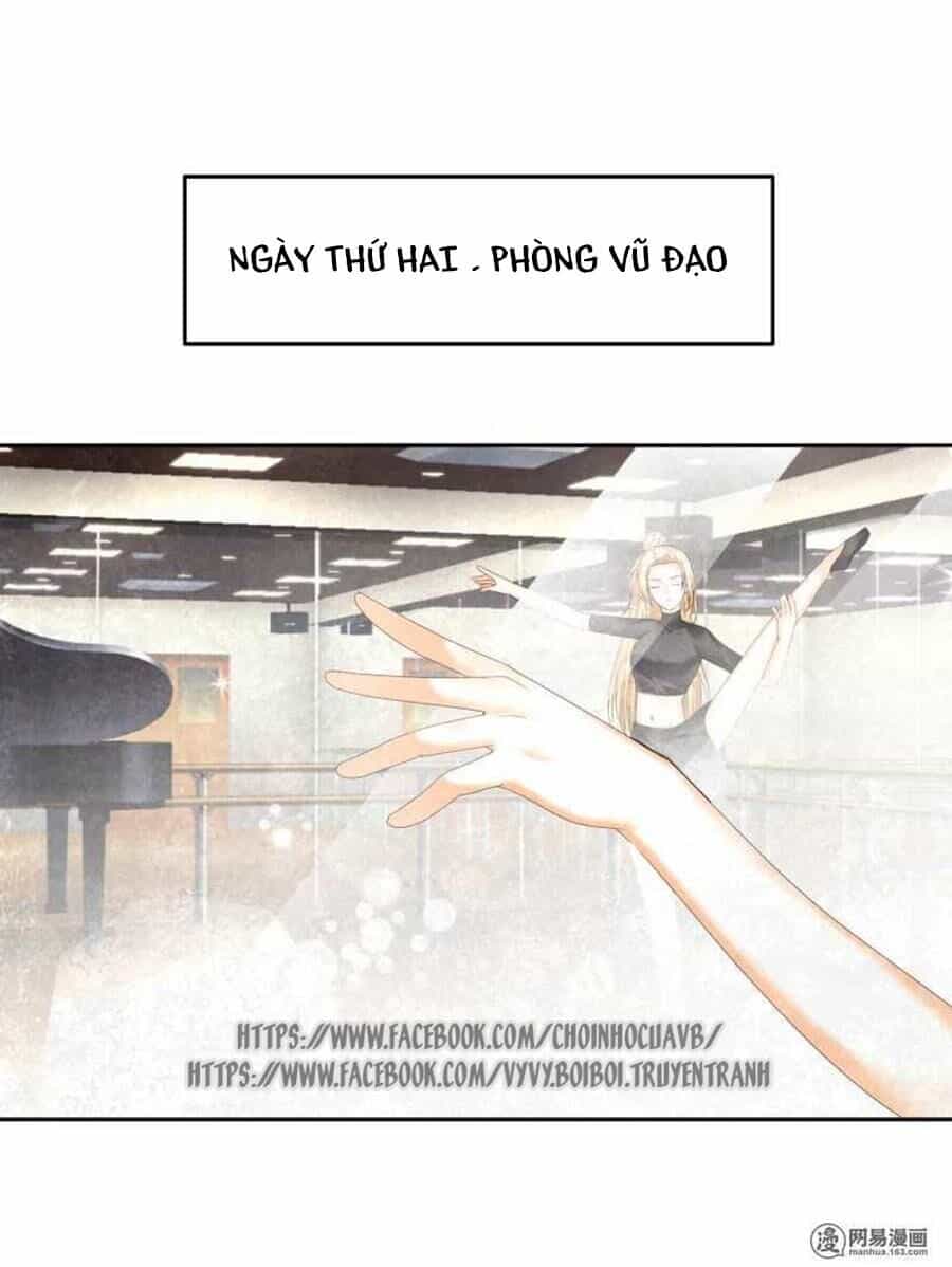 Tiền Thế Kim Sinh Của Chung Tiểu Thư - Chương 8 - ảnh 17