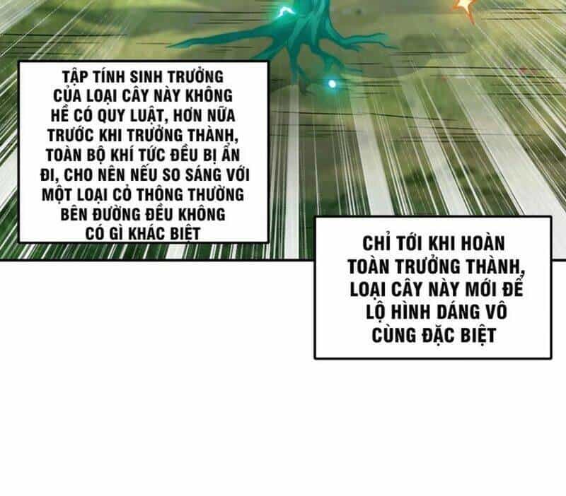 Tiên Tử, Ngươi Có Điềm Đại Hung! - Chương 17 - ảnh 17