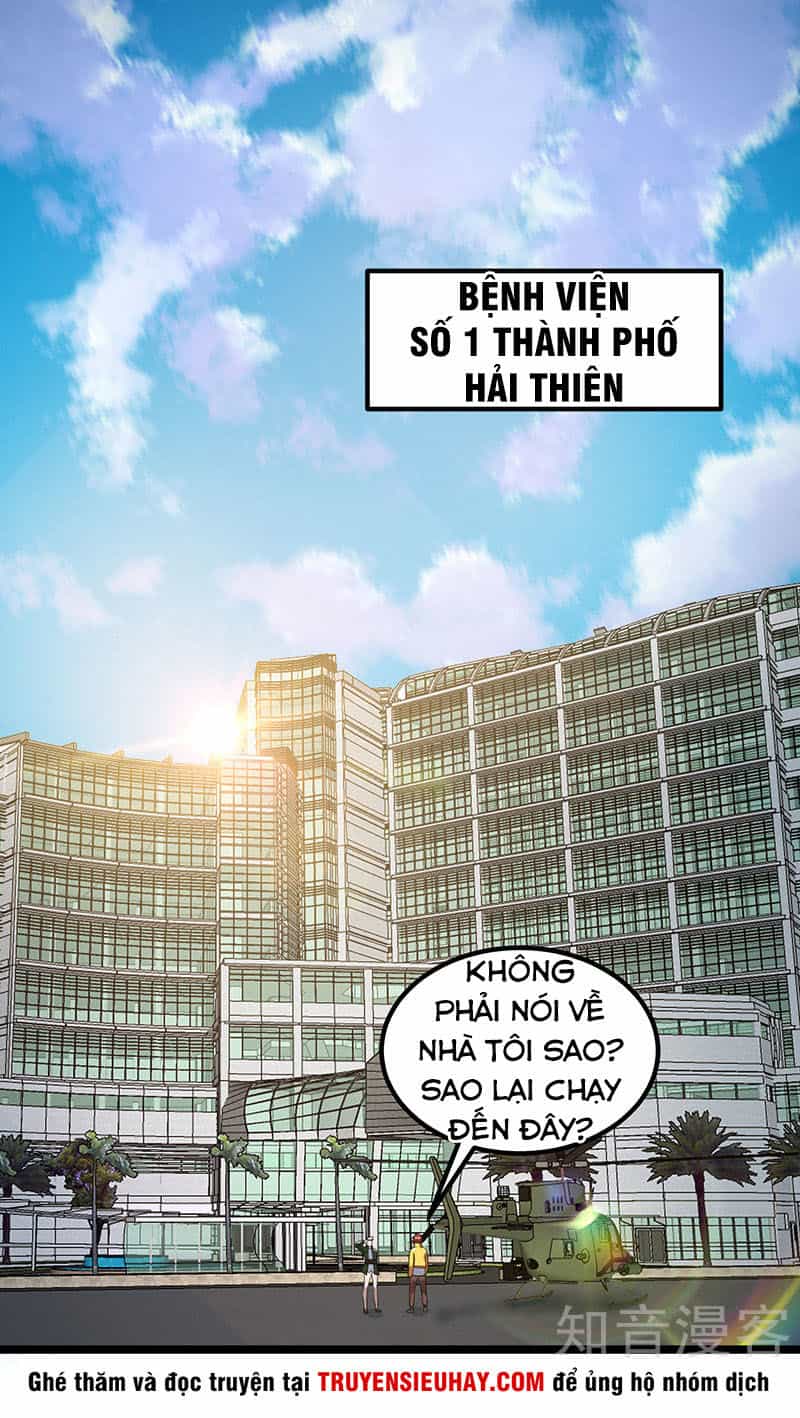 Tiên Vương Trùng Sinh - Chương 26 - ảnh 3