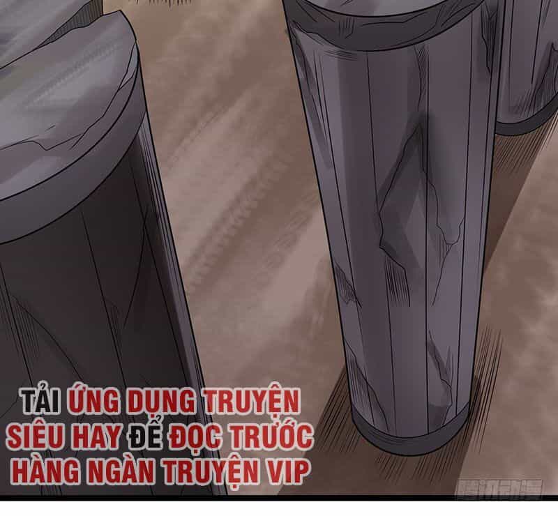 Tiên Vương Trùng Sinh - Chương 41 - ảnh 29