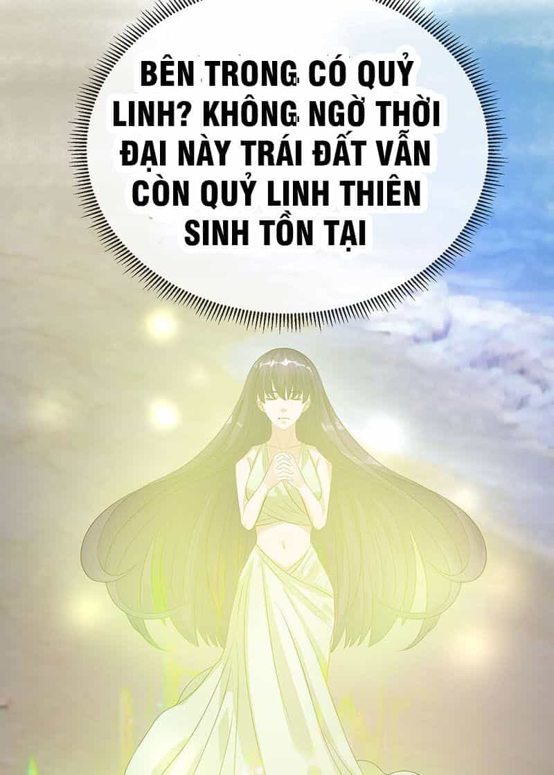 Tiên Vương Trùng Sinh - Chương 43 - ảnh 27