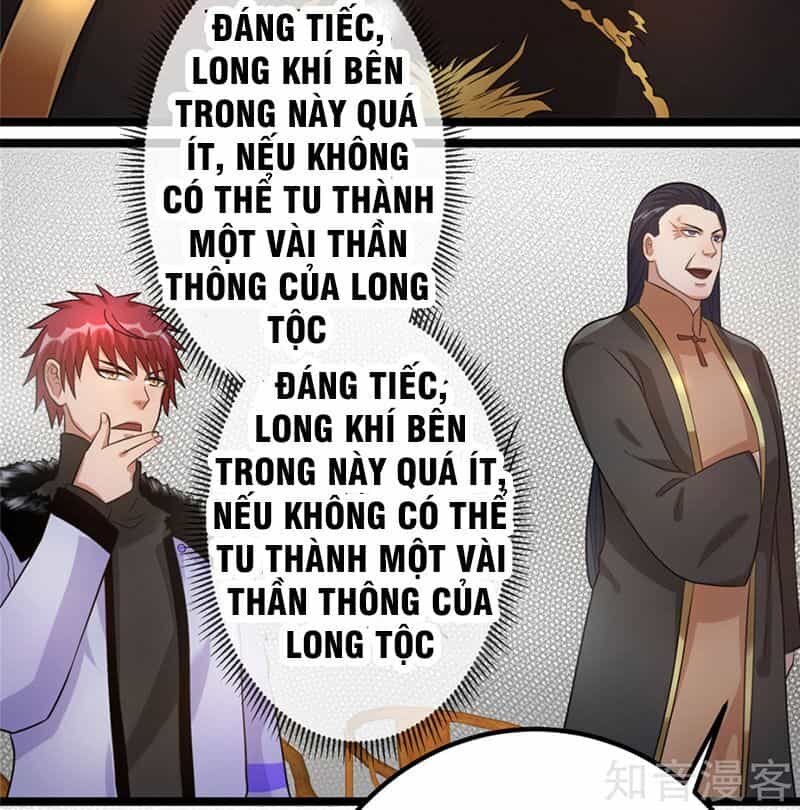 Tiên Vương Trùng Sinh - Chương 45 - ảnh 17