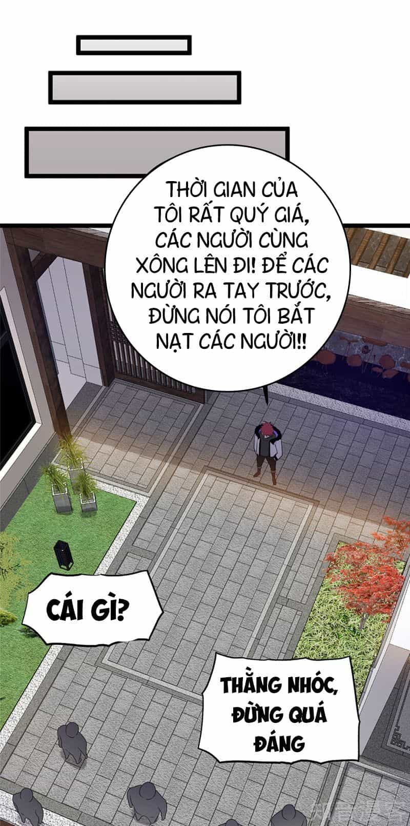 Tiên Vương Trùng Sinh - Chương 47 - ảnh 13
