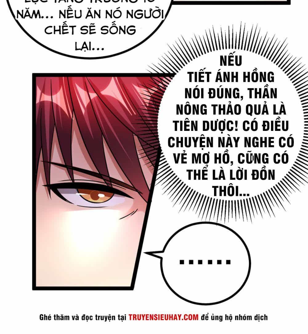 Tiên Vương Trùng Sinh - Chương 70 - ảnh 10