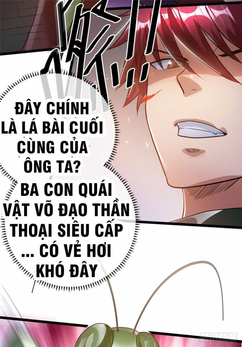 Tiên Vương Trùng Sinh - Chương 82 - ảnh 4