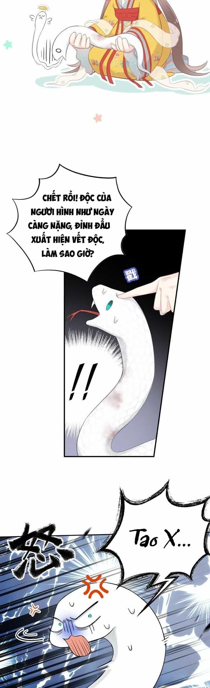 Tiểu Bạch Xà Lại Chọc Tôi - Chương 3 - ảnh 22