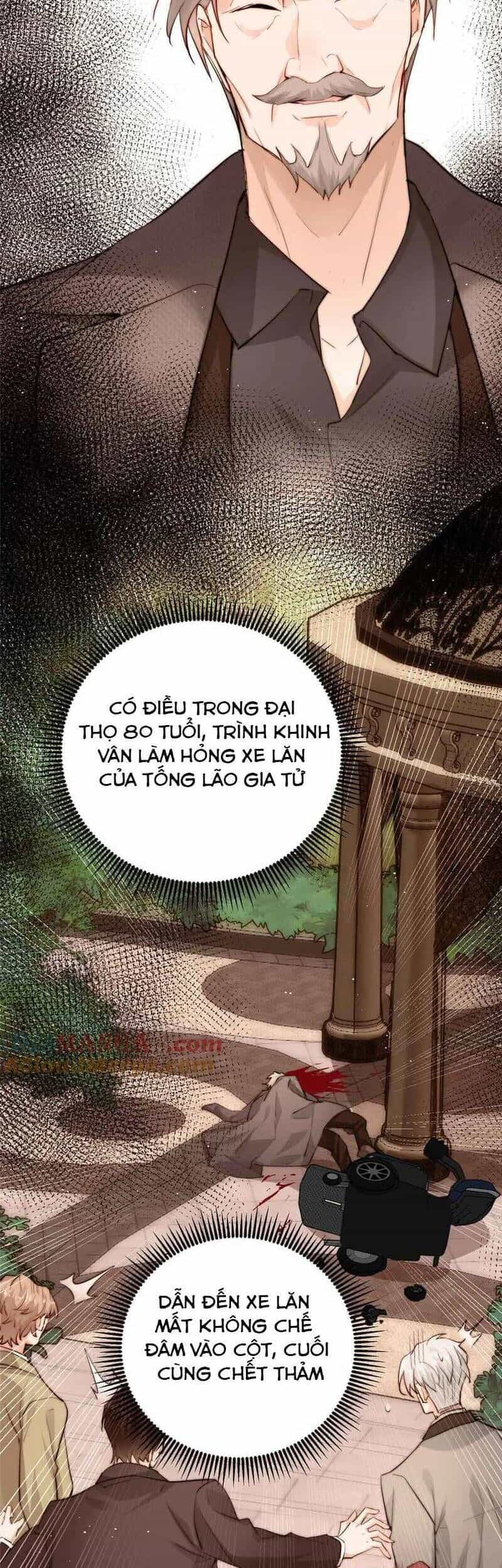 Tiểu Bảo Bối Đặc Biệt Của Tổng Tài Lạnh Lùng - Chương 40 - ảnh 12